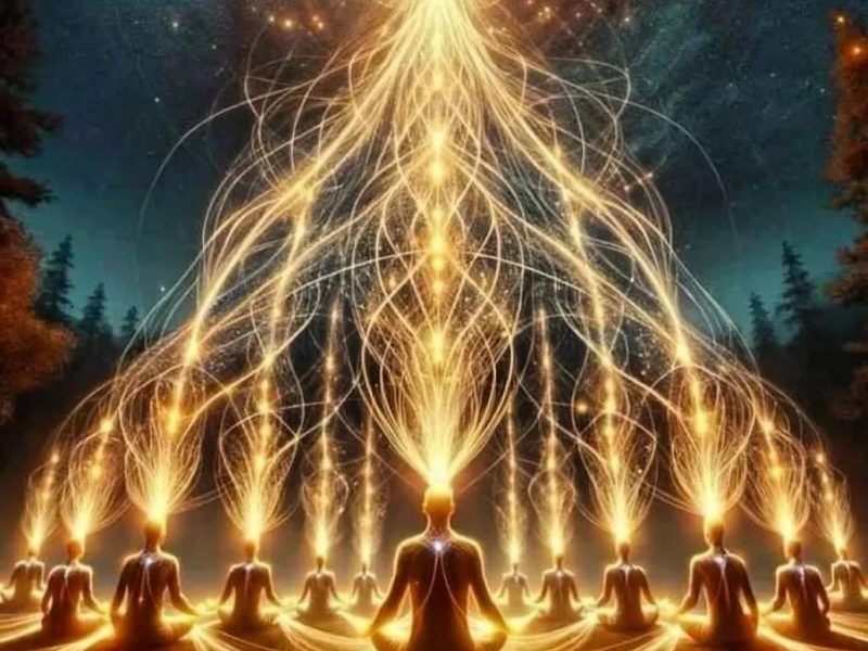 Consultation Samsāra